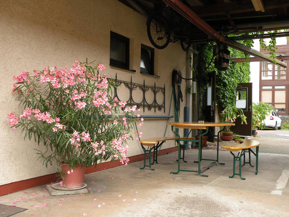Apartments Schramm Eisenach Ngoại thất bức ảnh