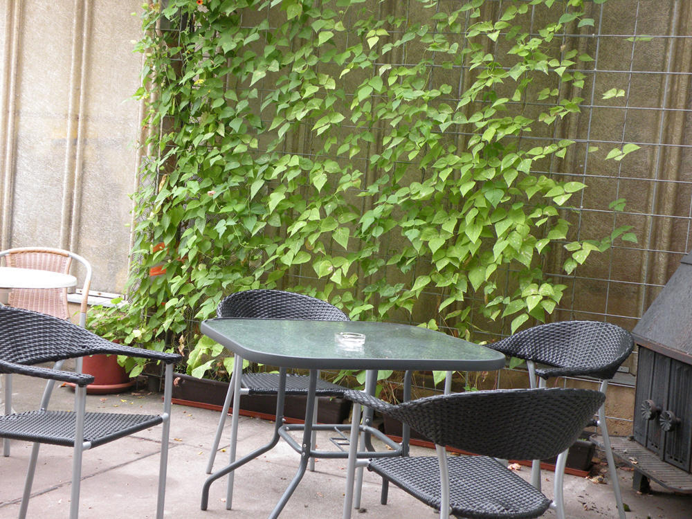 Apartments Schramm Eisenach Ngoại thất bức ảnh